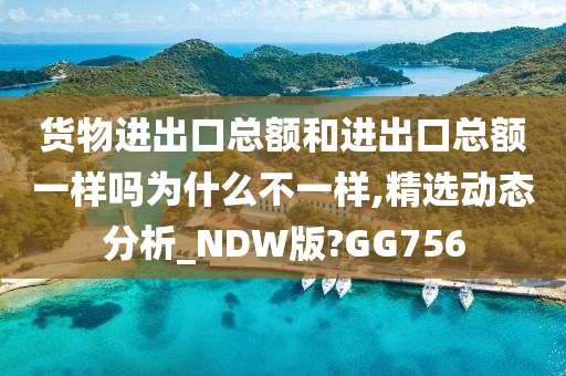 货物进出口总额和进出口总额一样吗为什么不一样,精选动态分析_NDW版?GG756