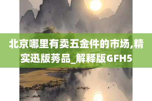 北京哪里有卖五金件的市场,精实迅版莠品_解释版GFH5