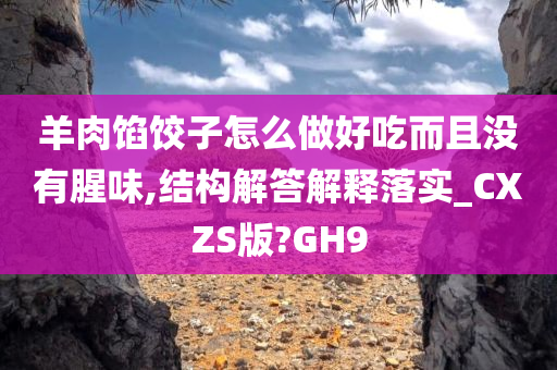 羊肉馅饺子怎么做好吃而且没有腥味,结构解答解释落实_CXZS版?GH9