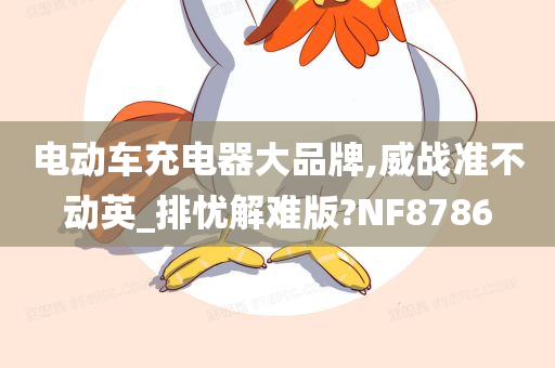 电动车充电器大品牌,威战准不动英_排忧解难版?NF8786