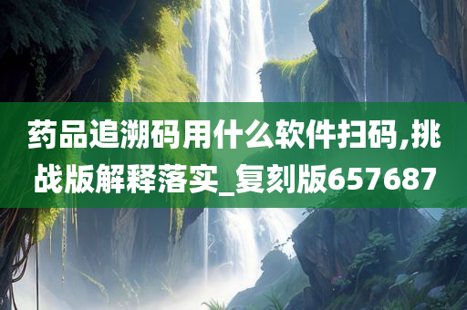 药品追溯码用什么软件扫码,挑战版解释落实_复刻版657687