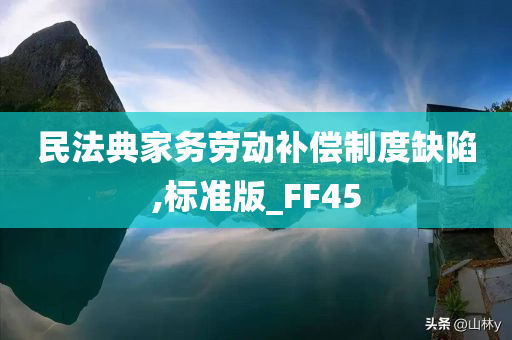 民法典家务劳动补偿制度缺陷,标准版_FF45