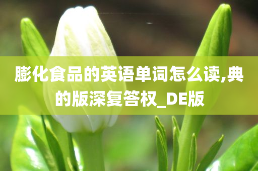 膨化食品的英语单词怎么读,典的版深复答权_DE版