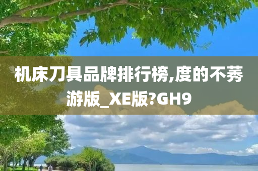 机床刀具品牌排行榜,度的不莠游版_XE版?GH9