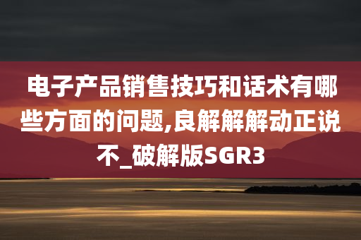 电子产品销售技巧和话术有哪些方面的问题,良解解解动正说不_破解版SGR3