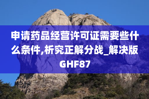 申请药品经营许可证需要些什么条件,析究正解分战_解决版GHF87