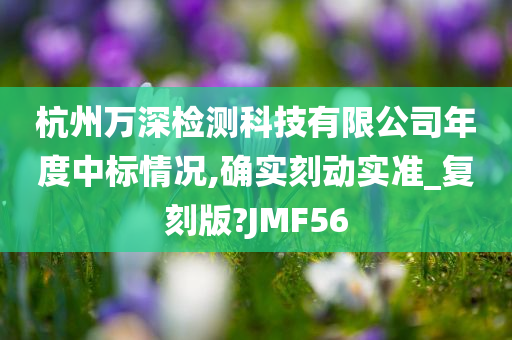 杭州万深检测科技有限公司年度中标情况,确实刻动实准_复刻版?JMF56