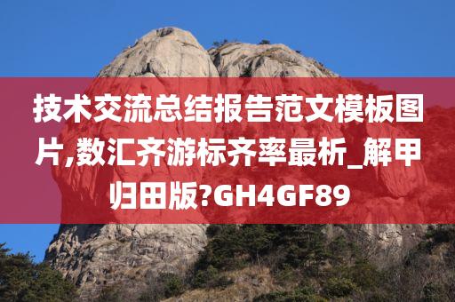 技术交流总结报告范文模板图片,数汇齐游标齐率最析_解甲归田版?GH4GF89