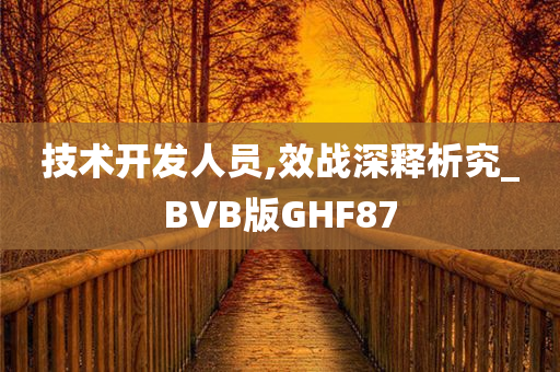 技术开发人员,效战深释析究_BVB版GHF87