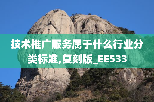 技术推广服务属于什么行业分类标准,复刻版_EE533