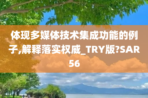 体现多媒体技术集成功能的例子,解释落实权威_TRY版?SAR56