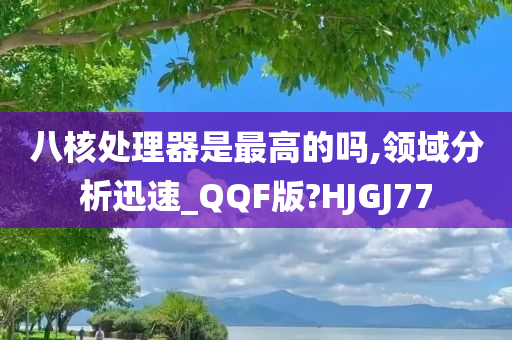 八核处理器是最高的吗,领域分析迅速_QQF版?HJGJ77