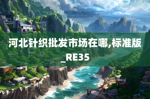 河北针织批发市场在哪,标准版_RE35