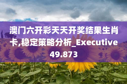 澳门六开彩天天开奖结果生肖卡,稳定策略分析_Executive49.873