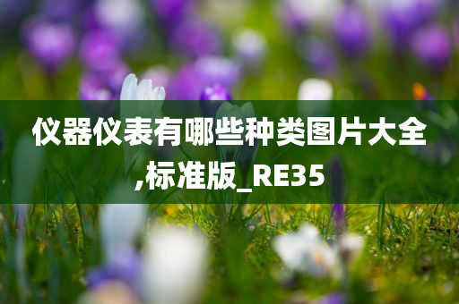 仪器仪表有哪些种类图片大全,标准版_RE35