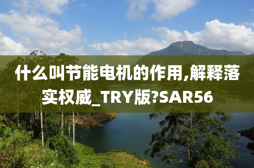 什么叫节能电机的作用,解释落实权威_TRY版?SAR56