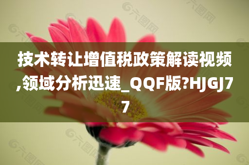 技术转让增值税政策解读视频,领域分析迅速_QQF版?HJGJ77