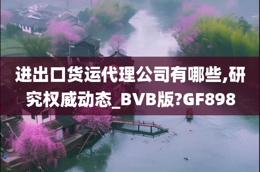 进出口货运代理公司有哪些,研究权威动态_BVB版?GF898