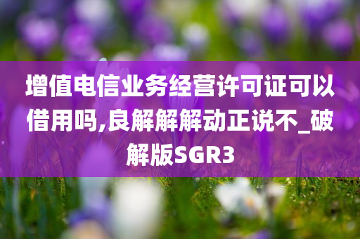 增值电信业务经营许可证可以借用吗,良解解解动正说不_破解版SGR3