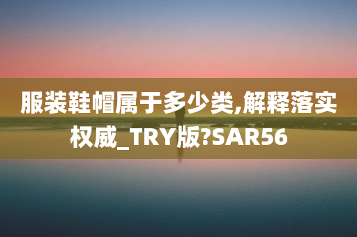 服装鞋帽属于多少类,解释落实权威_TRY版?SAR56