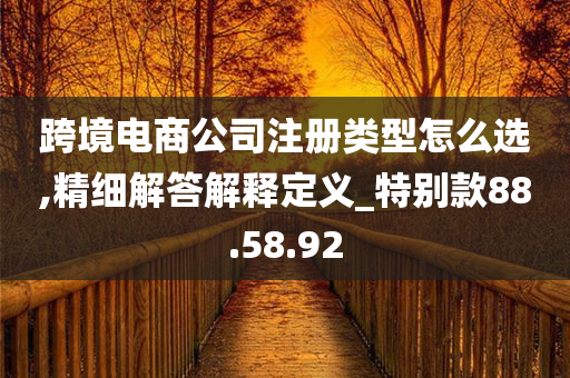 跨境电商公司注册类型怎么选,精细解答解释定义_特别款88.58.92