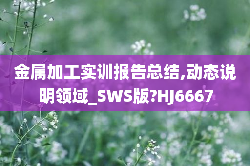 金属加工实训报告总结,动态说明领域_SWS版?HJ6667