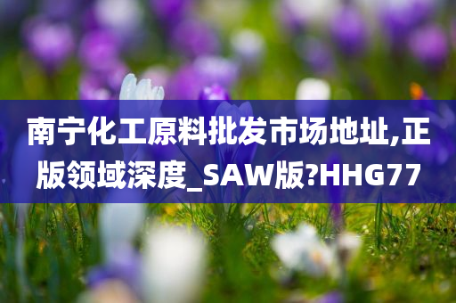 南宁化工原料批发市场地址,正版领域深度_SAW版?HHG77