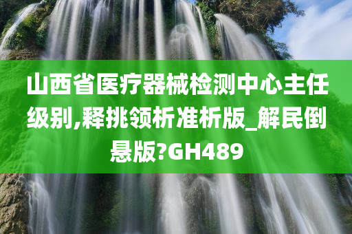 山西省医疗器械检测中心主任级别,释挑领析准析版_解民倒悬版?GH489