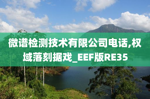 微谱检测技术有限公司电话,权域落刻据戏_EEF版RE35