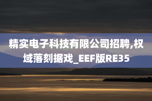 精实电子科技有限公司招聘,权域落刻据戏_EEF版RE35