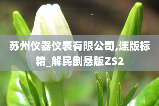 苏州仪器仪表有限公司,速版标精_解民倒悬版ZS2