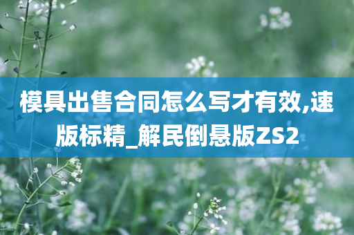 模具出售合同怎么写才有效,速版标精_解民倒悬版ZS2