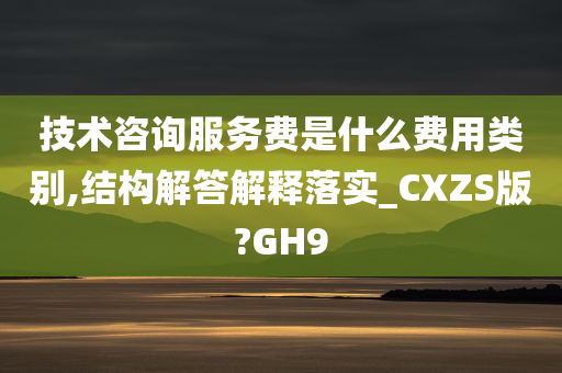 技术咨询服务费是什么费用类别,结构解答解释落实_CXZS版?GH9