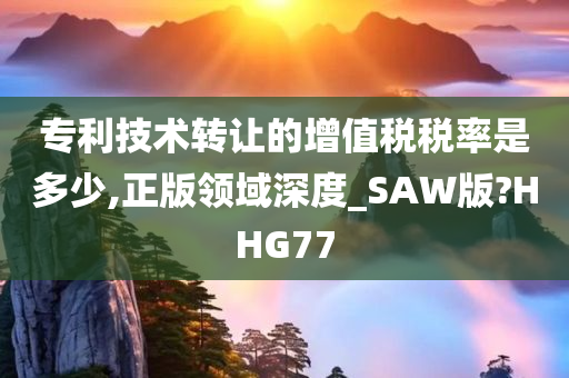 专利技术转让的增值税税率是多少,正版领域深度_SAW版?HHG77