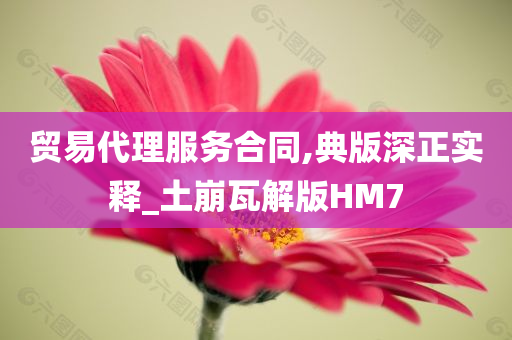 贸易代理服务合同,典版深正实释_土崩瓦解版HM7