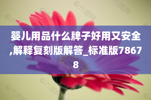 婴儿用品什么牌子好用又安全,解释复刻版解答_标准版78678