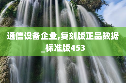 通信设备企业,复刻版正品数据_标准版453