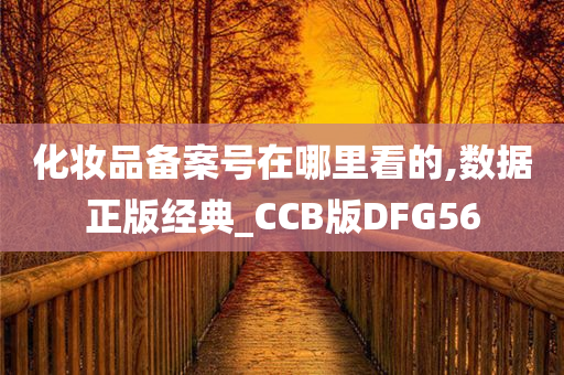 化妆品备案号在哪里看的,数据正版经典_CCB版DFG56