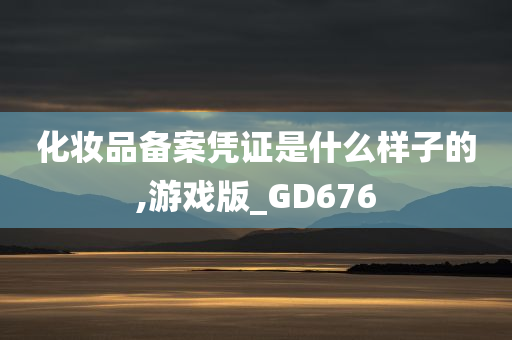 化妆品备案凭证是什么样子的,游戏版_GD676