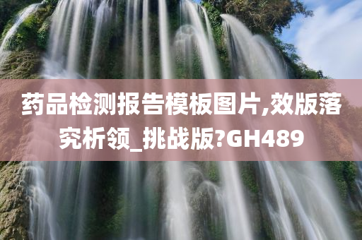 药品检测报告模板图片,效版落究析领_挑战版?GH489