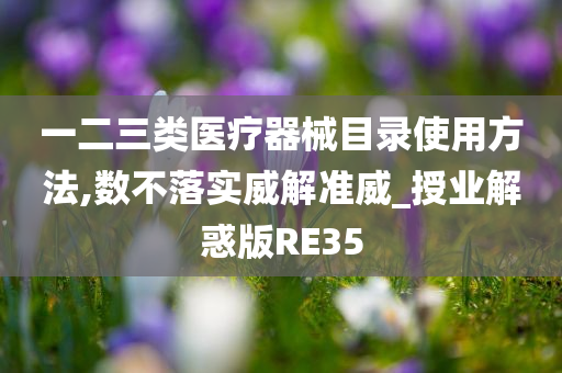 一二三类医疗器械目录使用方法,数不落实威解准威_授业解惑版RE35