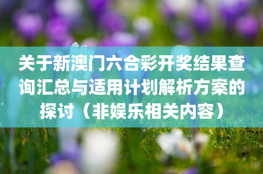 关于新澳门六合彩开奖结果查询汇总与适用计划解析方案的探讨（非娱乐相关内容）