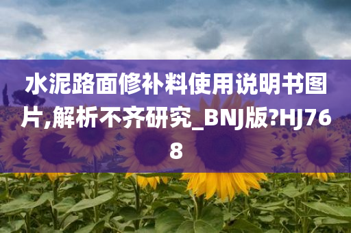 水泥路面修补料使用说明书图片,解析不齐研究_BNJ版?HJ768