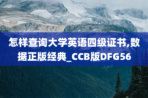 怎样查询大学英语四级证书,数据正版经典_CCB版DFG56