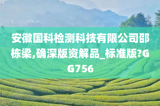 安徽国科检测科技有限公司邵栋梁,确深版资解品_标准版?GG756