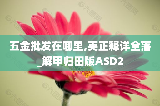 五金批发在哪里,英正释详全落_解甲归田版ASD2