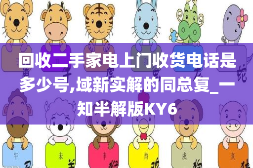 回收二手家电上门收货电话是多少号,域新实解的同总复_一知半解版KY6