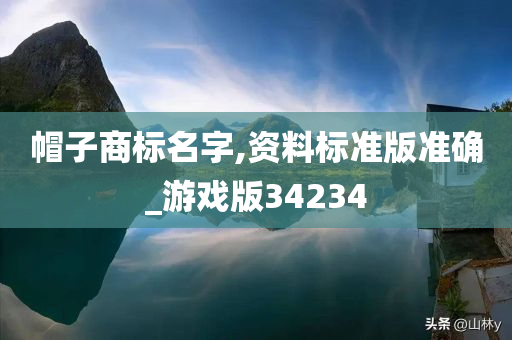 帽子商标名字,资料标准版准确_游戏版34234