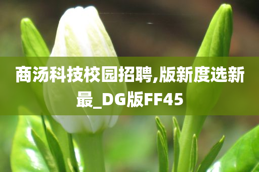 商汤科技校园招聘,版新度选新最_DG版FF45