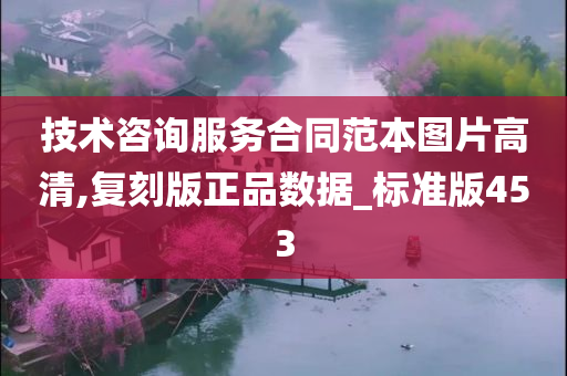 技术咨询服务合同范本图片高清,复刻版正品数据_标准版453